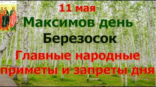 11 мая Максимов день. Березосок. Главные народные приметы и запреты дня.