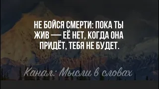 Жаль Я Этого не Знал! ЛУЧШИЕ ЦИТАТЫ ГОДА . Золотые Слова, которые надолго остаются в памяти!