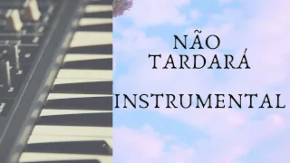 NÃO TARDARÁ   | INSTRUMENTAL | CD JOVEM |