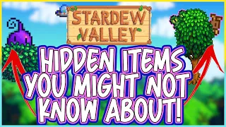 SECRET ITEMS IN STARDEW VALLEY!