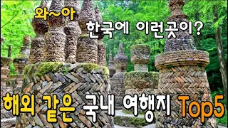 Top 6 The  most beautiful and mysterious forest in South Korea  & Relaxing Music