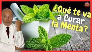 WHAT CURES AND WHAT IS MINT USED FOR AS A MEDICINAL PLANT? 12 USES AND BENEFITS