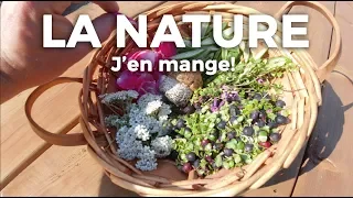 LA NATURE SAUVAGE DU QUÉBEC : J'EN MANGE!