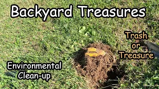 The Shocking Truth about Backyard Metal Detecting