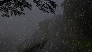 Sleep Easily In Under 3 Minutes - The Sound Of Rain And Thunder In A Foggy Forest At Night