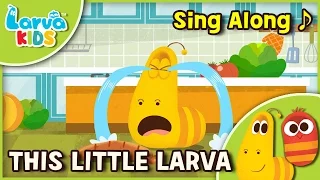 [Sing Along]  This Little Larva - English - Larva KIDS song