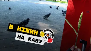 В НІЖИН НА КАВУ  | І ШАУРМУ | ПЕРШИЙ ЗАГАР І ПРОКОЛ | #вИлИсИпИдИстИ