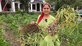 गाँव का शांत माहौल और किचन गार्डन में काम || Pahadi Lifestyle Vlog || Priyanka Yogi Tiwari ||