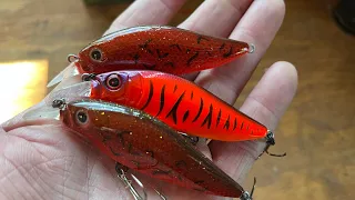Don’t Fall For This Common Myth About Red Lures