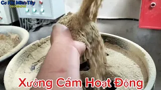 Xưởng Cám Hoạt Động