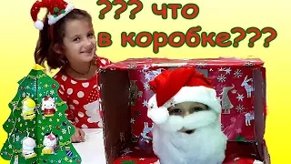 Челлендж новогодний ЧТО В КОРОБКЕ?!