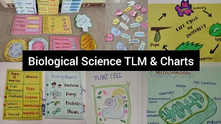 Biological Science TLM / order @7598834178