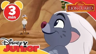 The Lion Guard | Stand Up, Stand Out Song | Disney Junior UK