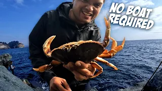 CATCHING CRABS WITHOUT LEAVING THE SHORE (unbelievable crabbing in Washington)