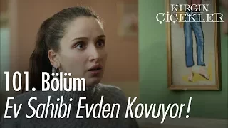 Ev sahibi evden kovuyor! - Kırgın Çiçekler 101. Bölüm