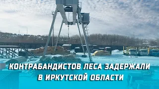 Контрабандистов леса задержали в Иркутской области