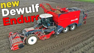 Preview: *NEW* Dewulf Enduro potato harvester | First in-depth look | Kwatro vs. Enduro!