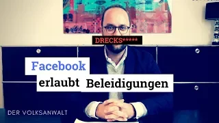 DIESE Beleidigungen sind bei Facebook erlaubt! - Das Künast-Urteil