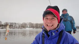 Что поймали за 2 дня на реке? | Рыбалка в глухозимье | ВихровLIFE