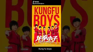 Kung fu boys