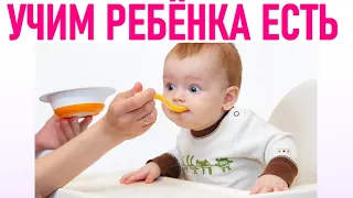 КАК НАУЧИТЬ РЕБЕНКА ЕСТЬ САМОСТОЯТЕЛЬНО | Едим самостоятельно