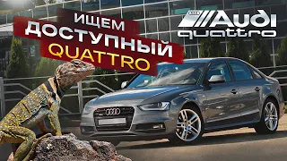 Жива ли  Audi A4 B8 quattro?