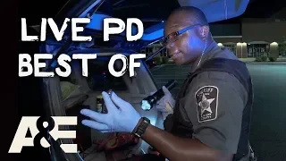 Big Dumb/Funny Live PD Moments