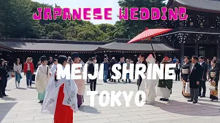 A Meiji Shrine Wedding Procession | Meiji Shrine Wedding  🇯🇵  - YOU NEED SOME LUCK