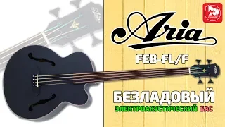 Безладовая акустическая бас-гитара ARIA FEB-FL/F