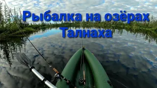 Талнах. Рыбалка на озёрах, 18.07.2020г.