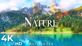 Nature Relaxation Film 4K • Beautiful Relaxing Music • Video Ultra HD