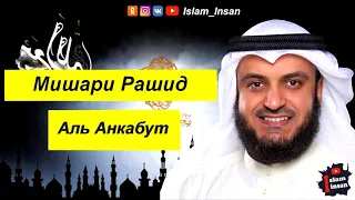 Мишари Рашид Сура Аль Анкабут