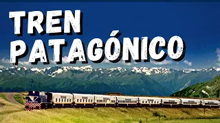 Así es ir en TREN a BARILOCHE en CAMAROTE |  Tren Patagónico