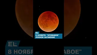 8 ноября казахстанцы смогут увидеть "Кровавую Луну"