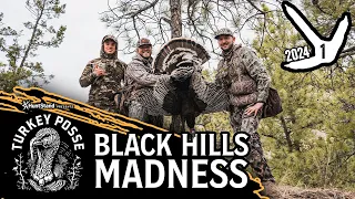 Merriam's Turkey Hunt in the Black Hills - TURKEY POSSE '24