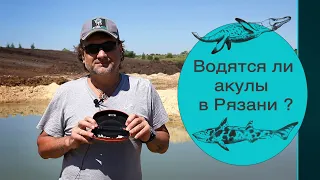 🐟 Доисторические акулы в четырех часах езды от Москвы