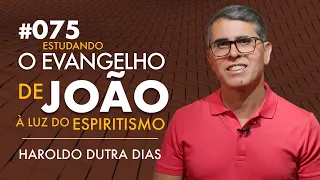 075 | O EVANGELHO DE JOÃO - Haroldo Dutra Dias, Estudando