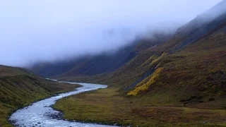 Arctic National Wildlife