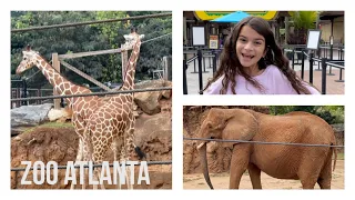 Zoo Atlanta Full Tour-Atlanta Georgia Vlog|Home To More Than 1,000 Animals|