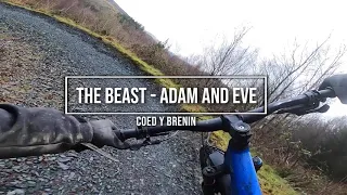 Adam and Eve trail section - Coed y Brenin (The Beast)