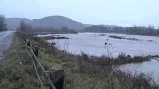 В закарпатских реках стремительно поднимается уровень воды