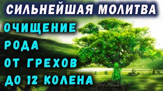 САМАЯ СИЛЬНАЯ МОЛИТВА / МОЛИТВА НА ОЧИЩЕНИЕ РОДА ОТ ГРЕХОВ ДО 12 КОЛЕНА / ПОКАЯНИЕ ЗА ВЕСЬ РОД