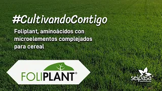 Aminoácidos con microelementos complejados para cereal | Foliplant