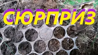 Что за фокусы. Вот так сюрприз! Не ожидал такое найти!