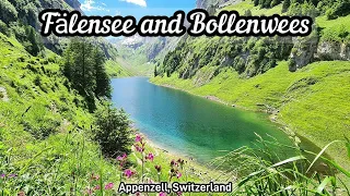 Fälensee | Bollenwees | Appenzell | Switzerland