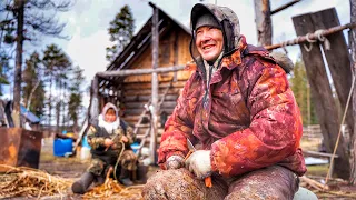 Coming back to taiga.Hunting and fishing of the northern Selkoups.Part 4| S Polem!(Successful Hunt!)