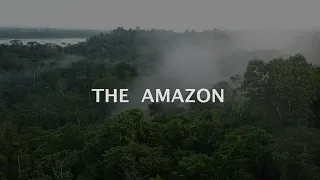 AMAZON