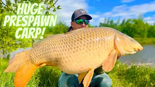 How to catch more Carp during the SPAWN