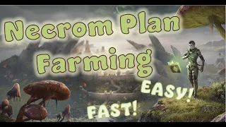 ULTIMATE Necrom Furnishing Plan Farming Spot: Gold-Making Tip!