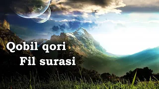 Qobil qori - fil surasi